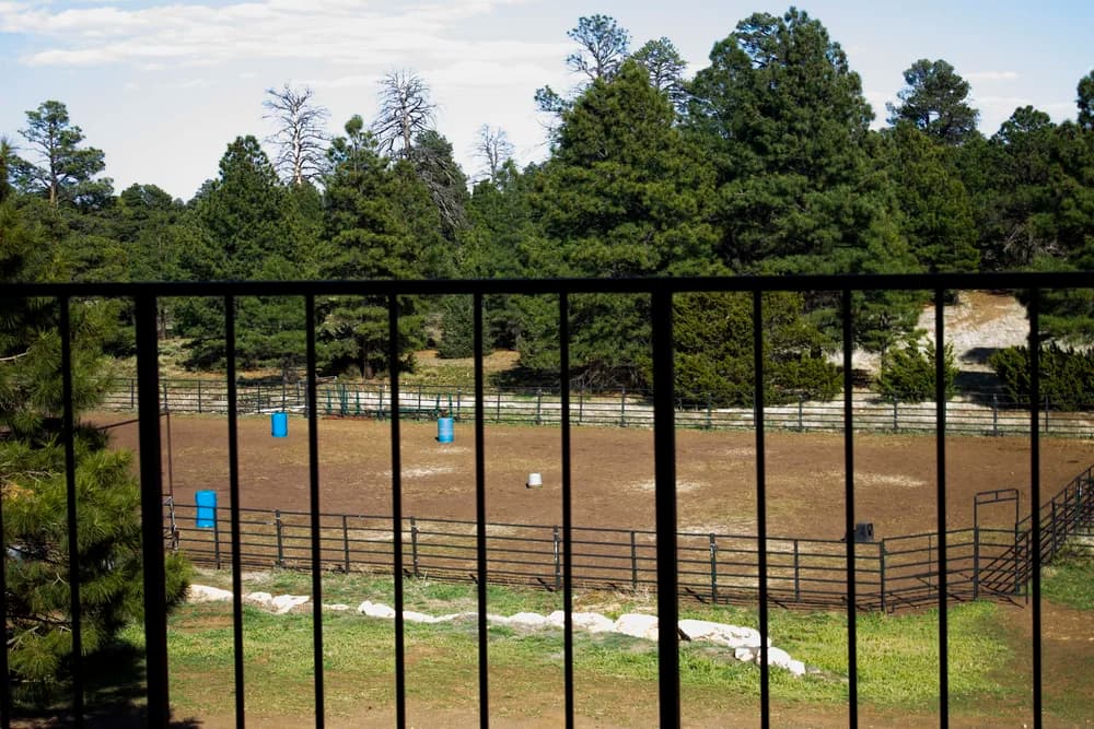Summer Sage Stables photo 2