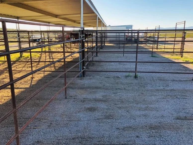 Tombstone Livery Stable photo 2