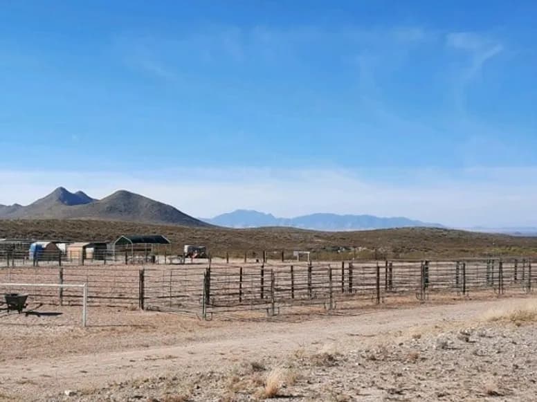 Tombstone Livery Stable photo 3