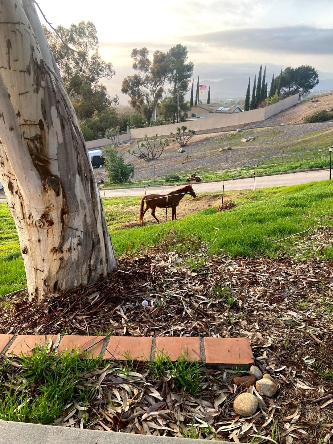Risen Ranch - Image 1