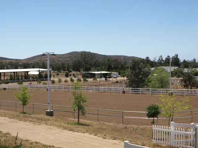 Collins Ranch photo 2