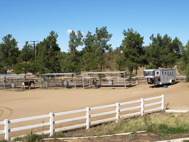 Collins Ranch photo 3