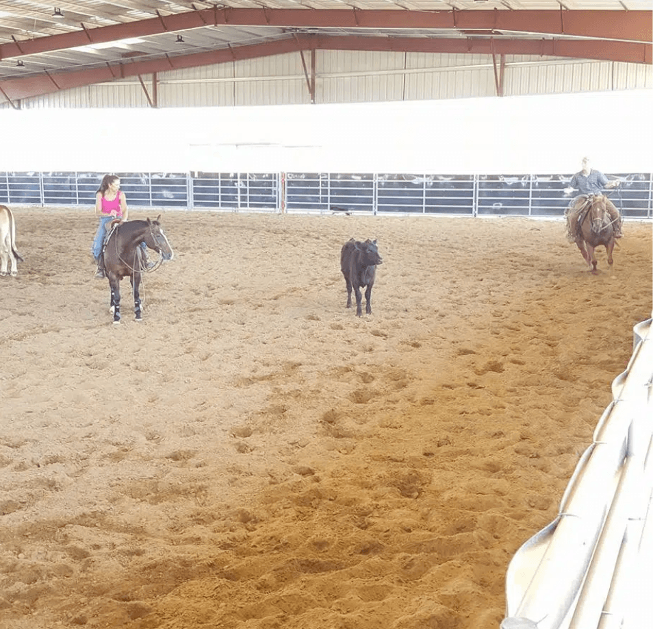 Triple Crown Equestrian Center photo 3