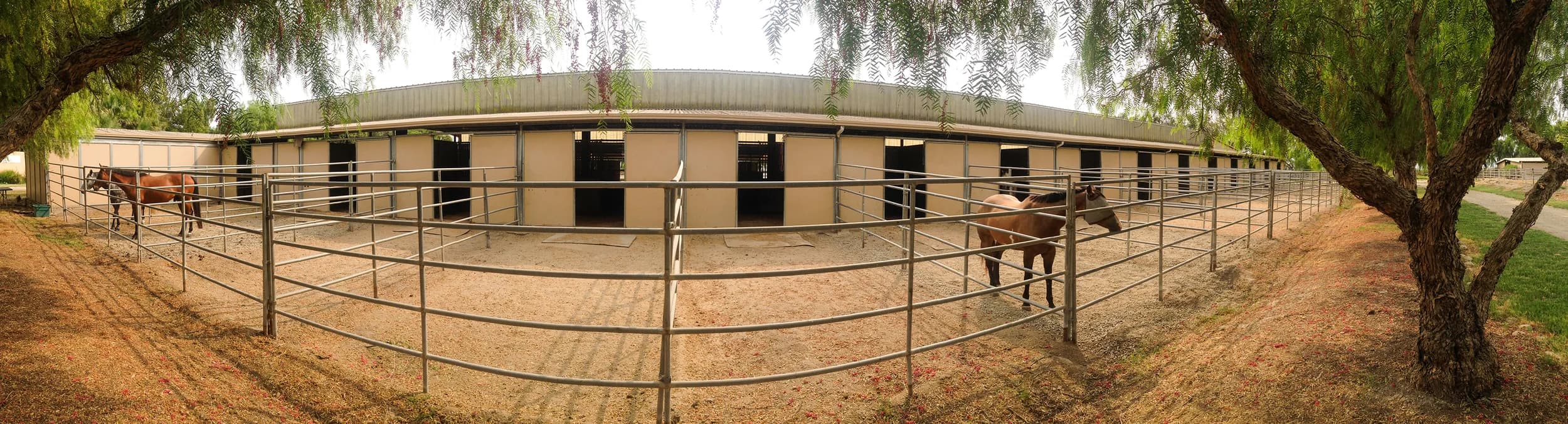 D'Alonzo Ranch Equestrian Center photo 2