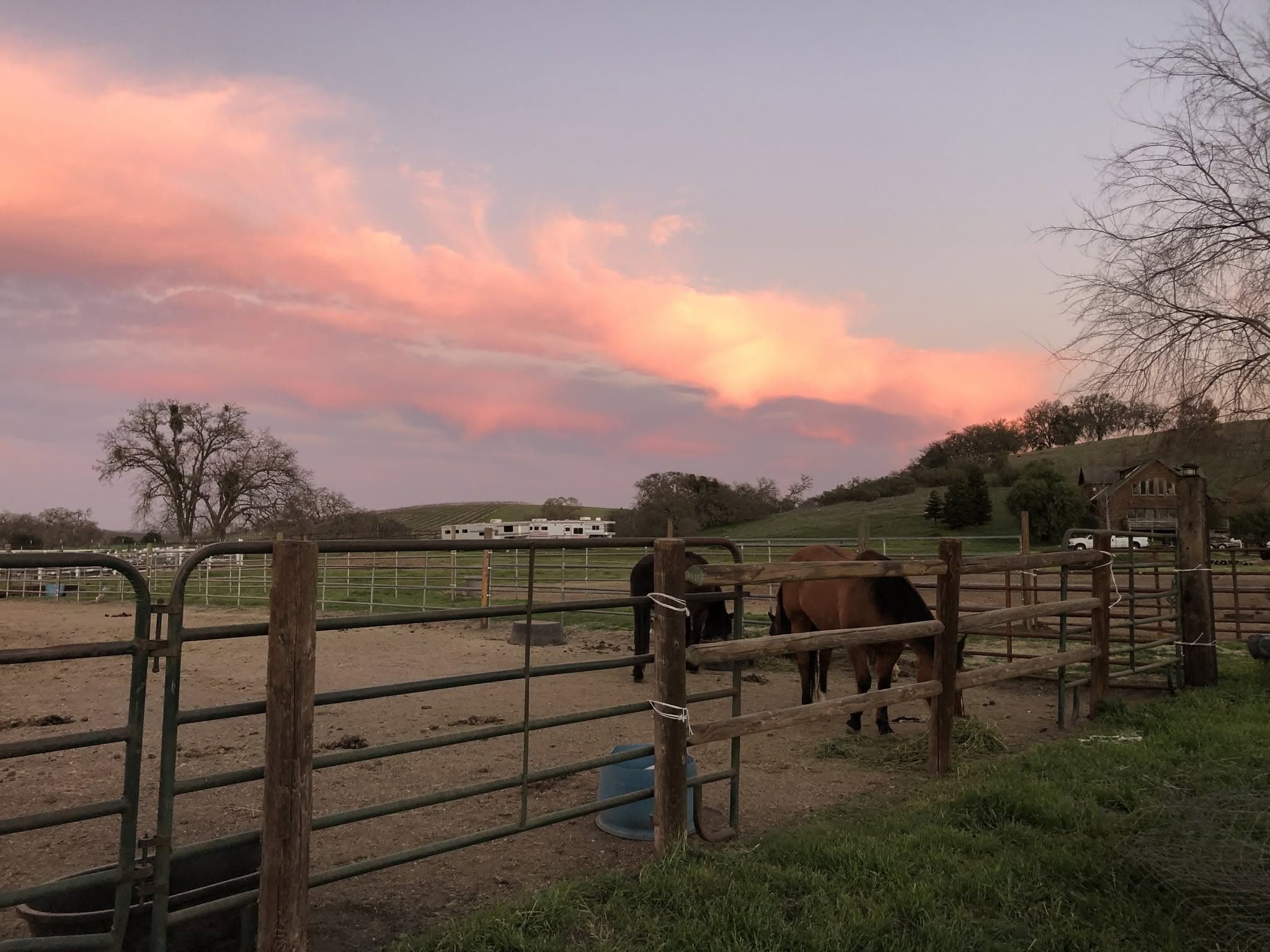 Gentle Winds Ranch photo 2