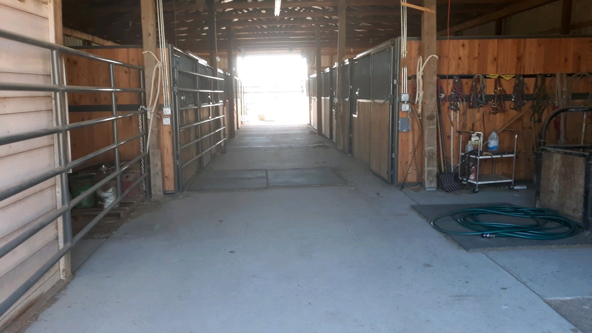 9H Quarter Horses and Paints Horse Motel photo 2