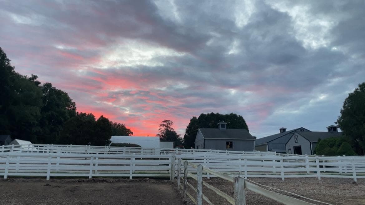 Fortunato Farm photo 3