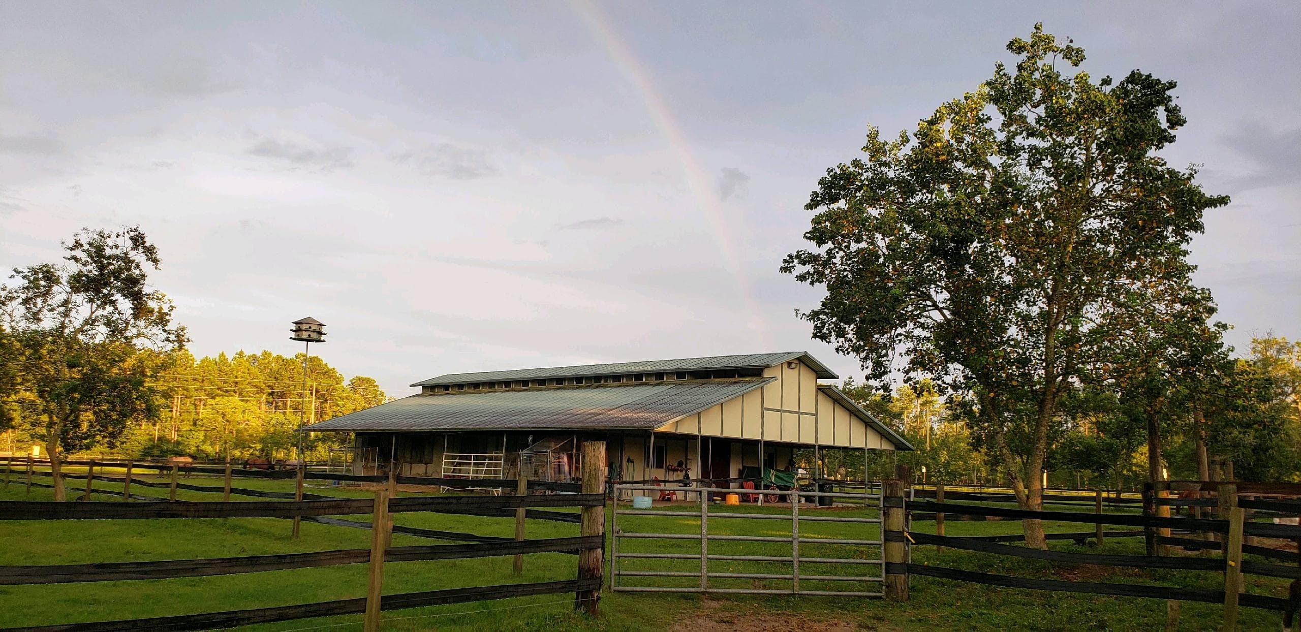 North Florida Horse Motel at Great Grace Farm