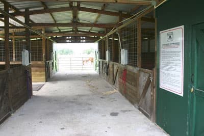 Flying B Ranch