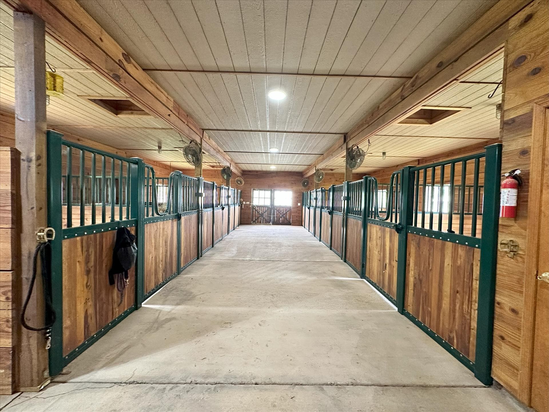 The Horse Motel - Image 2