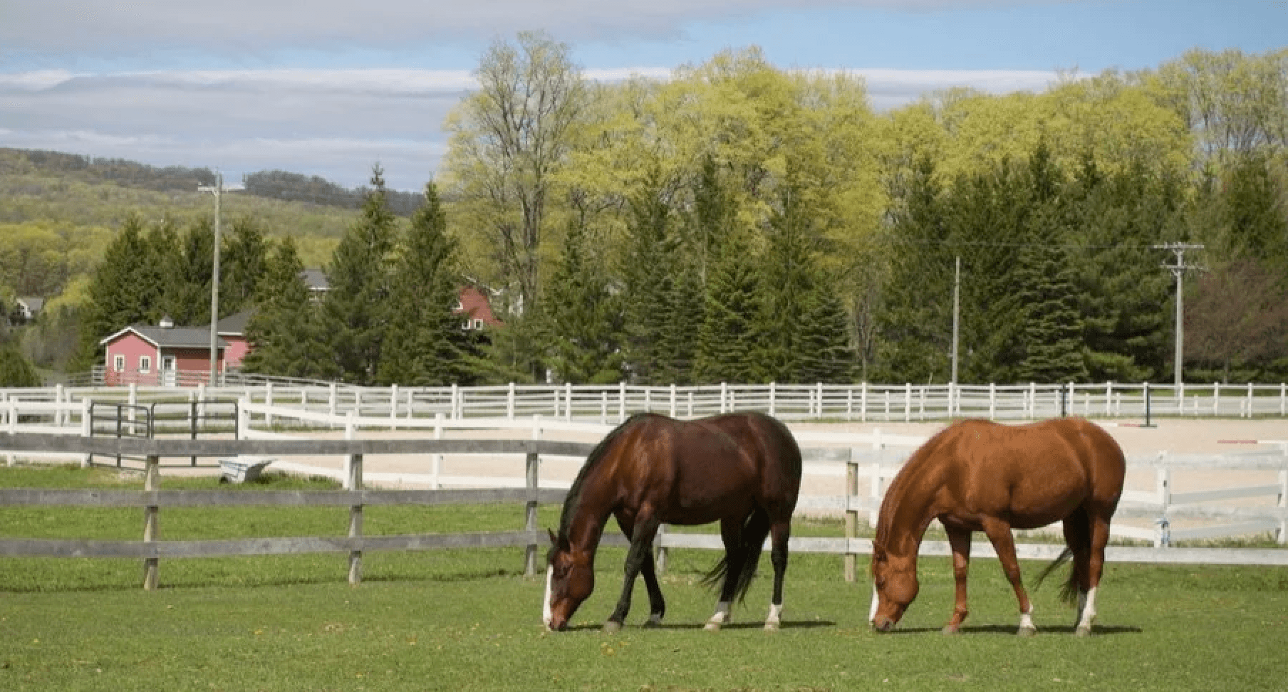 Rising Hope Equestrian Center photo 2