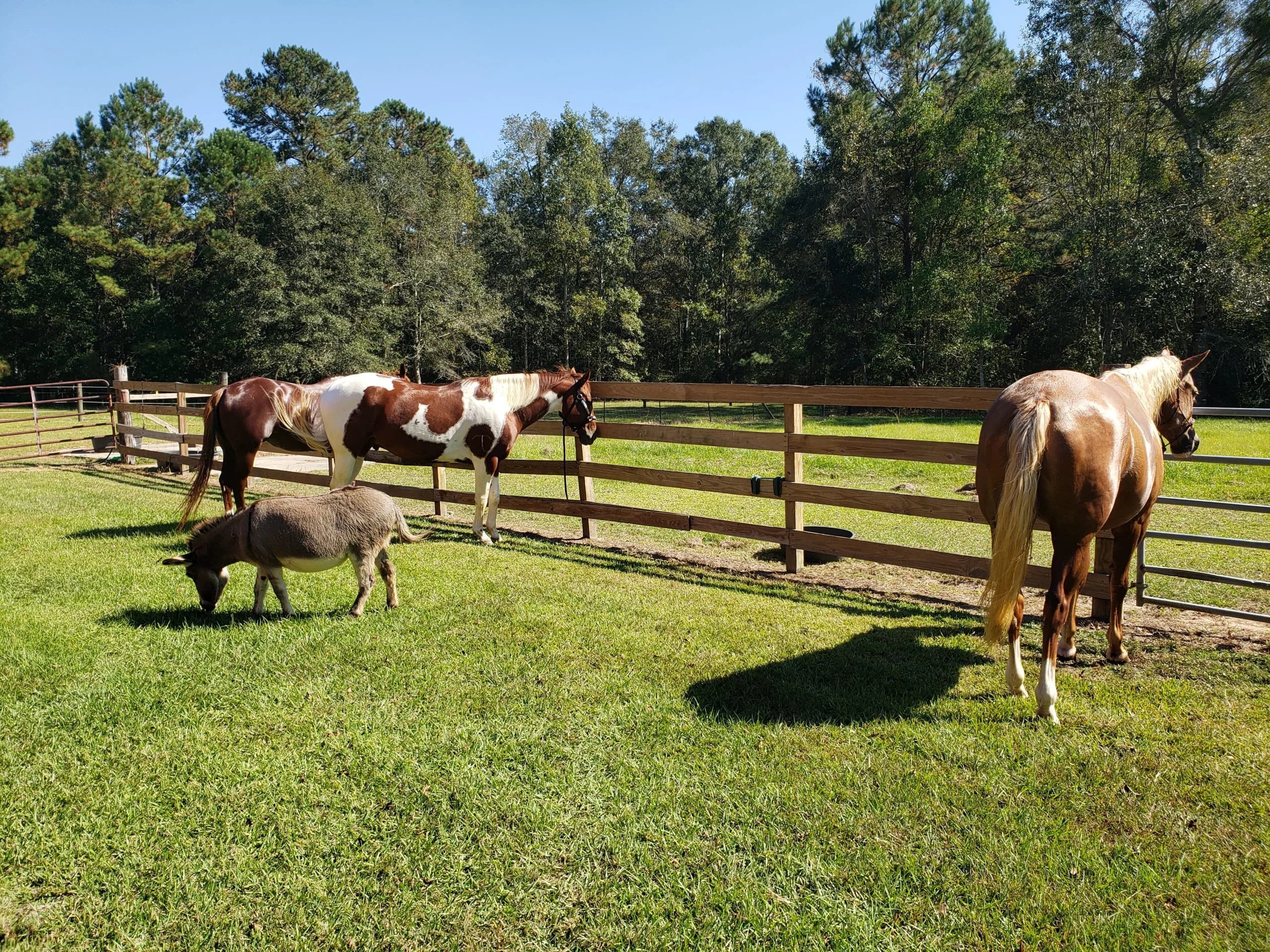 Green Woods Stables RV Park - Image 2