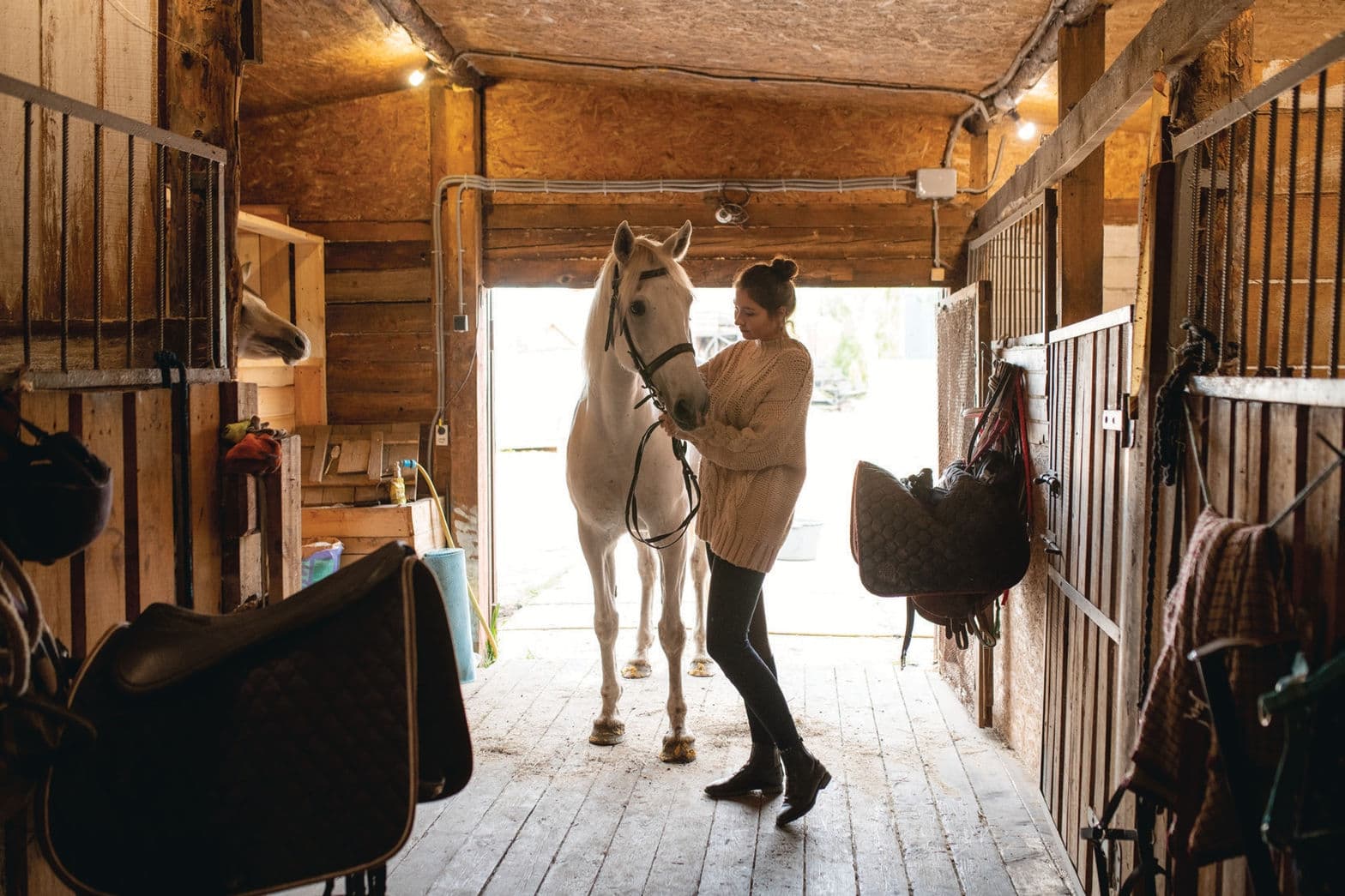 Blackwood Stables photo 2