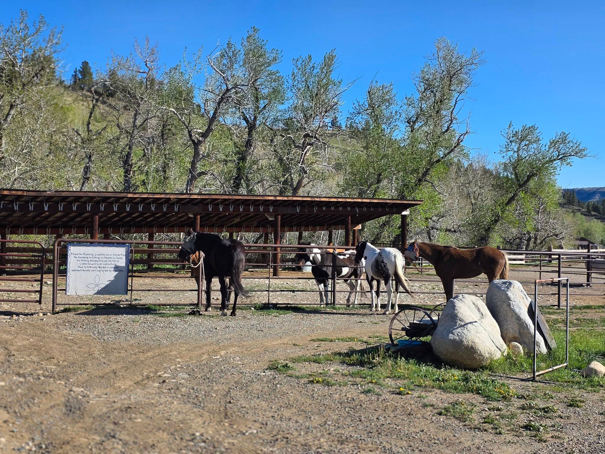 Trinity Trails photo 2