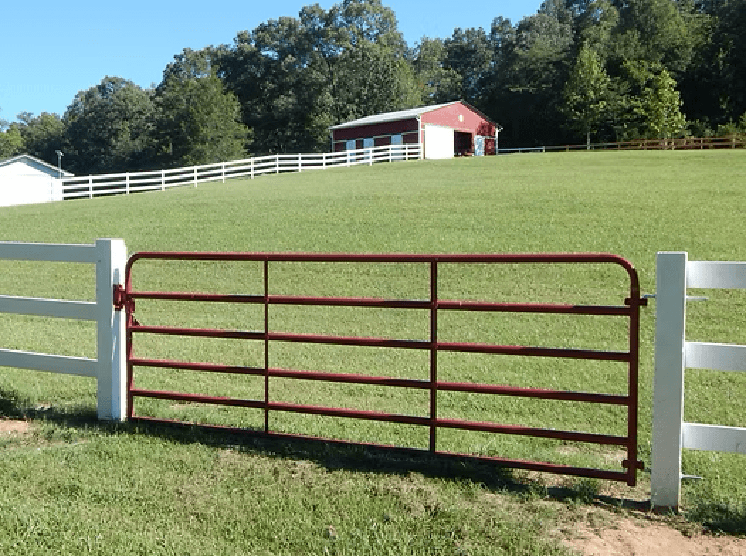 Bird's Nest Bunkies & Barn, LLC photo 2