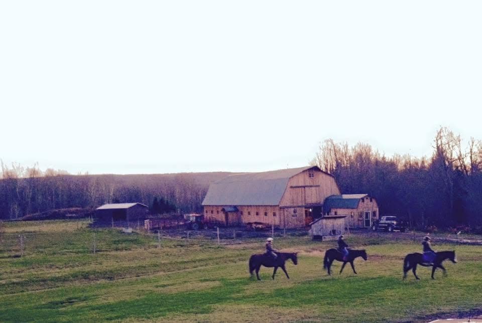 Boyd Family Ranch photo 2