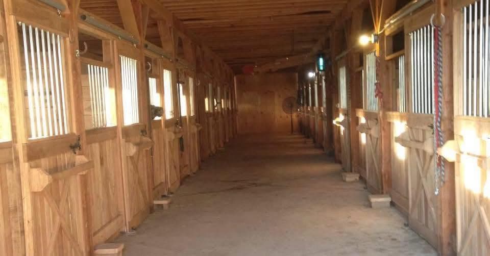 Boyd Family Ranch photo 3