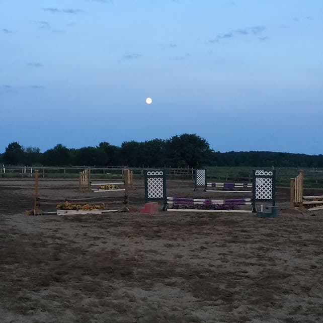Leg Up Stables photo 2