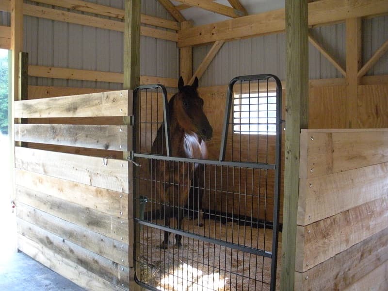 Loon Meadow Farm photo 2