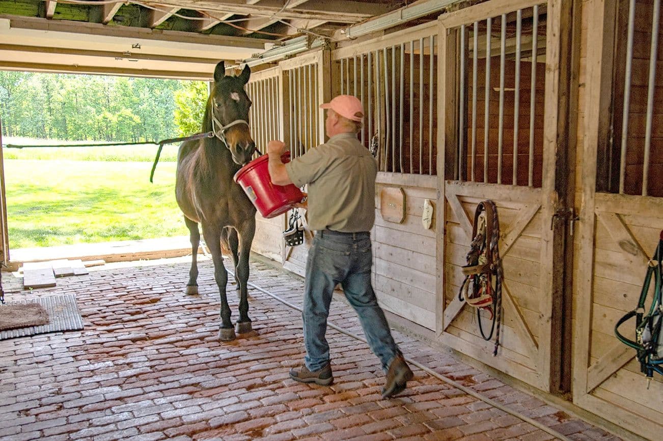 Sun and Cricket Bed & Breakfast - Image 1