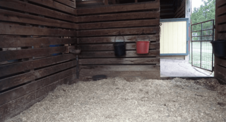 Cedar Grove Stables photo 3