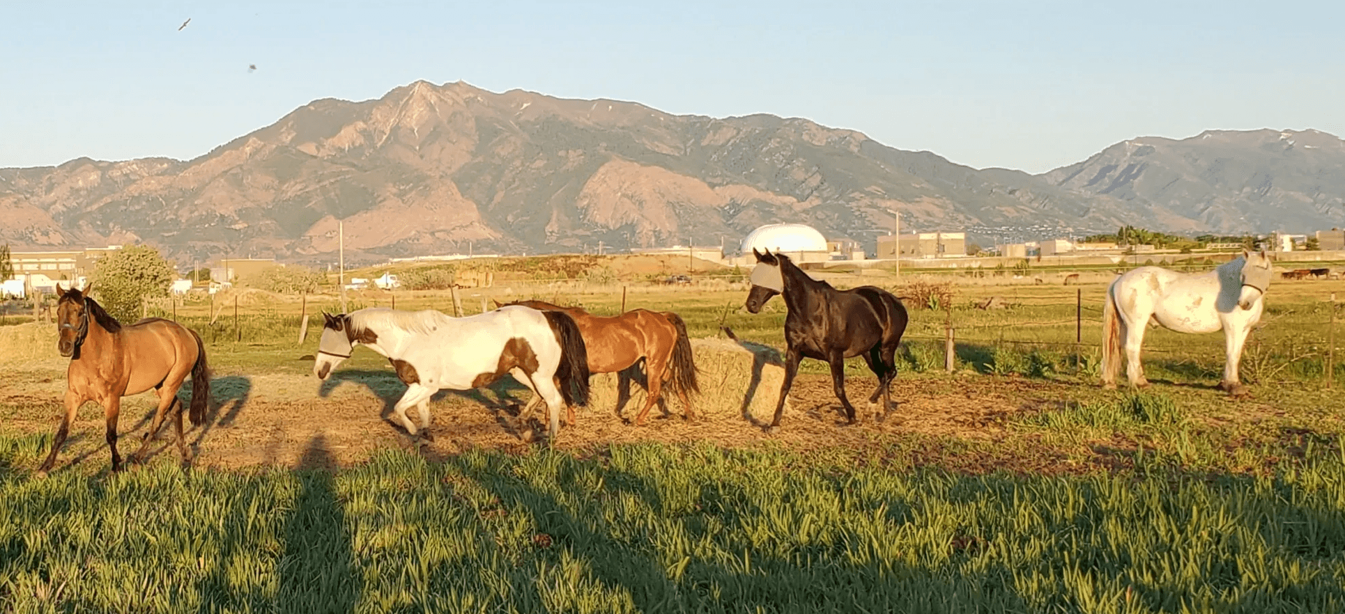 Wasatch View Ranch, LLC photo 2