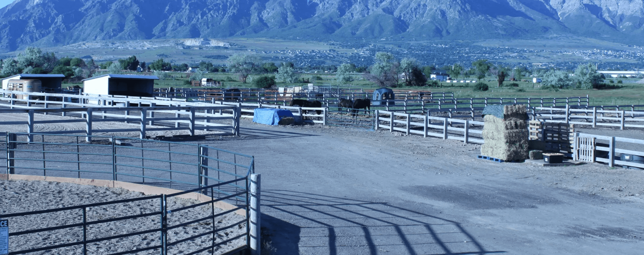 Wasatch View Ranch, LLC photo 3