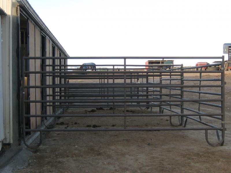 Platte Ridge Equestrian Center photo 2