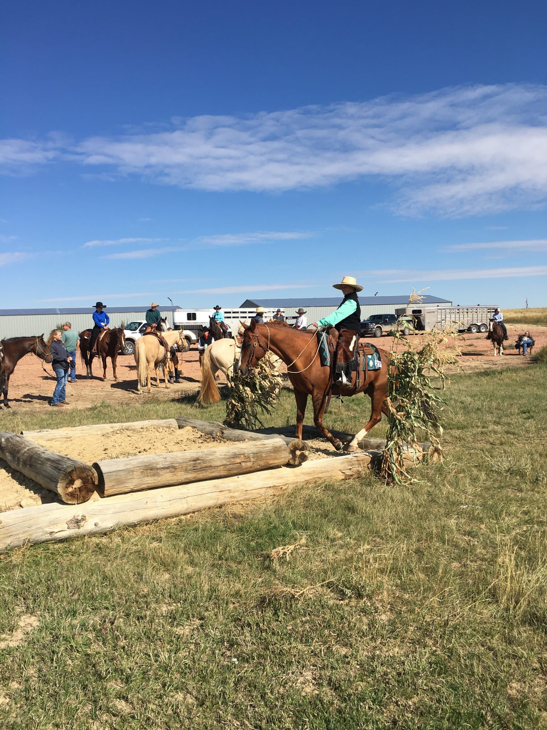 Kluz Performance Horses photo 2