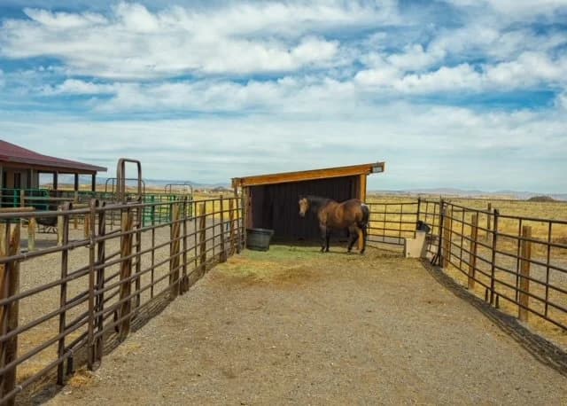 Paradise S Ranch photo 2