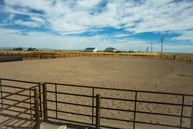 Paradise S Ranch photo 3